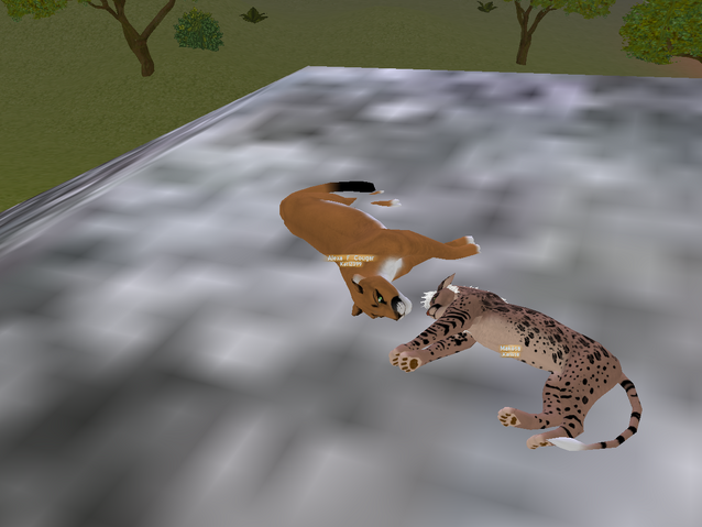 File:Screenshot 07232014 142111482.png