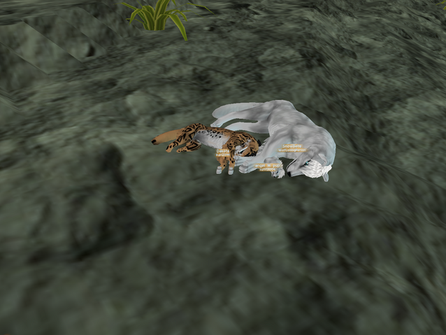 File:Screenshot 07242014 122719795.png
