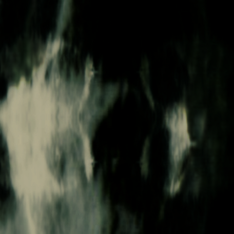 File:Chromosome-parasite.png