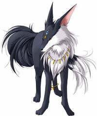 OyotaDog