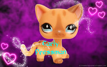 Style background free 008lps3