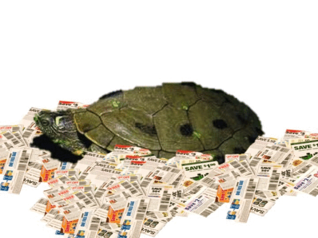 File:Turtlify.gif