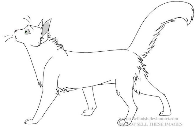 File:Snowtooth.jpg