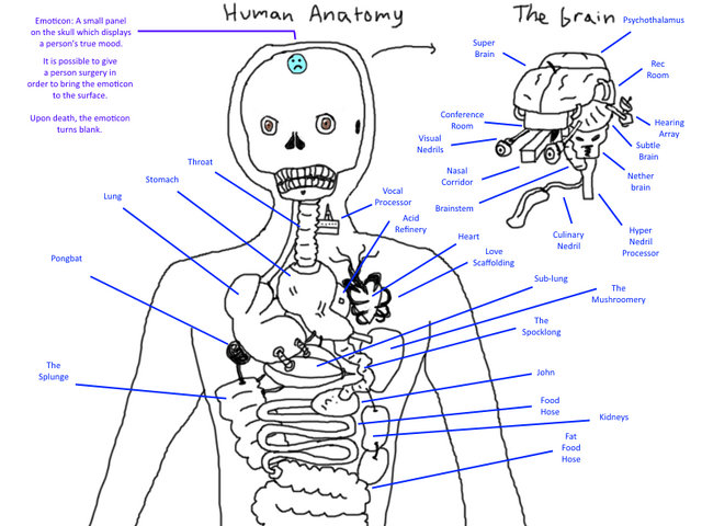 File:Other Anatomy.png