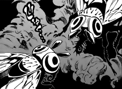 Poison Fly