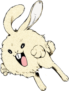 Pill Rabbit