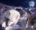 Thumbnail for version as of 10:18, May 31, 2013