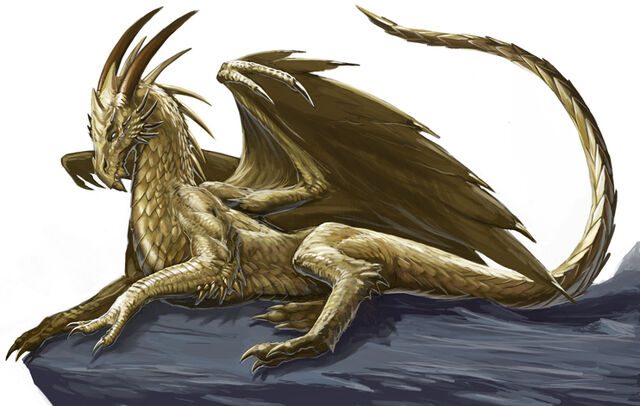 File:Gold Dragon by BenWootten.jpg