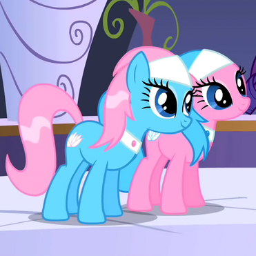 Spa ponies