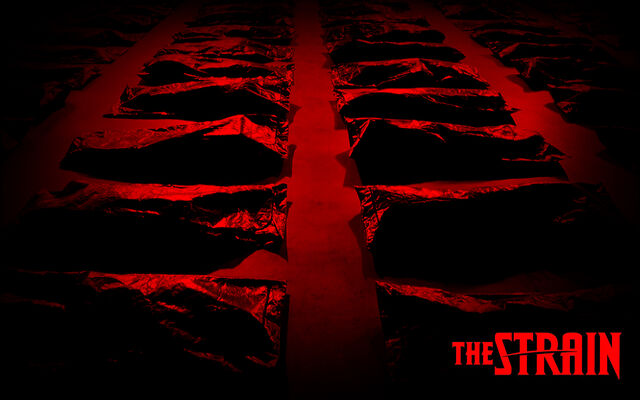 File:The-Strain-Wallpaper-the-strain-fx-37168452-1280-800.jpg
