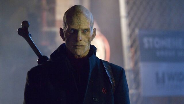 File:Mr Quinlan.jpeg