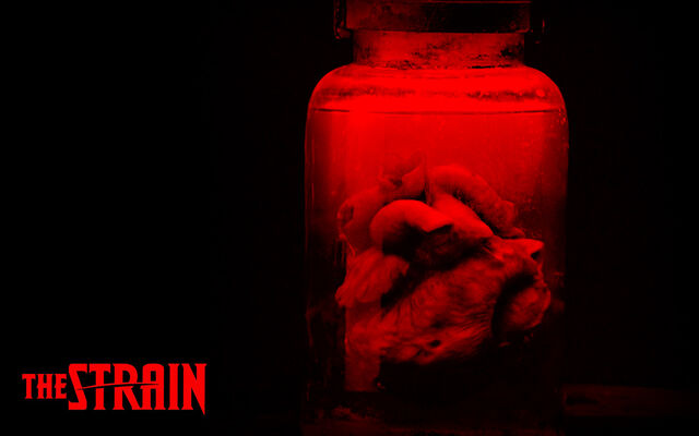 File:The-Strain-Wallpaper-the-strain-fx-37168462-1280-800.jpg