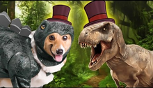 The Hat