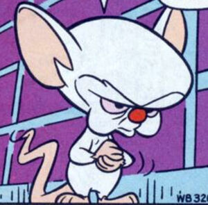 Ltc brain
