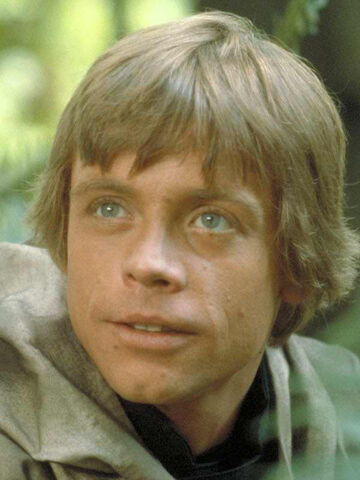 File:Luke on Endor.jpg