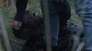 Normal twd0602-3158