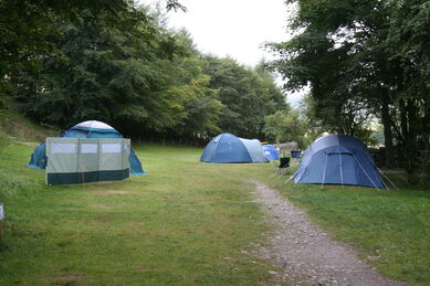 Camp Site Bobby