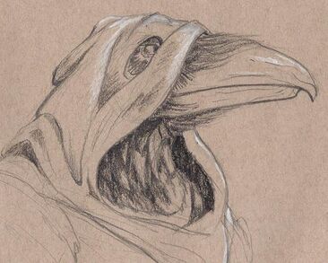 Beakface