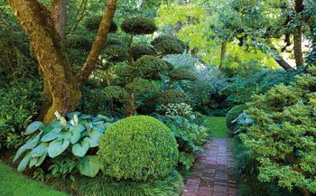Daln Gardens