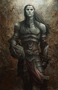 Snow-Touched Elf