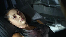 The100202 0436-0.jpg