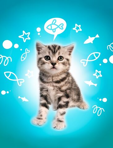 File:KittyKat.jpg
