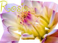 Thumbnail for version as of 20:28, September 15, 2012