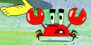 PrehistoryKrab