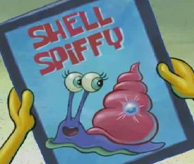Shell-Spiffy-2