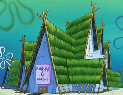 Mattresses and Then Some