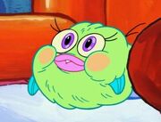 99px-Puffy fluffy