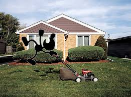 File:Mr Lawn boy.png