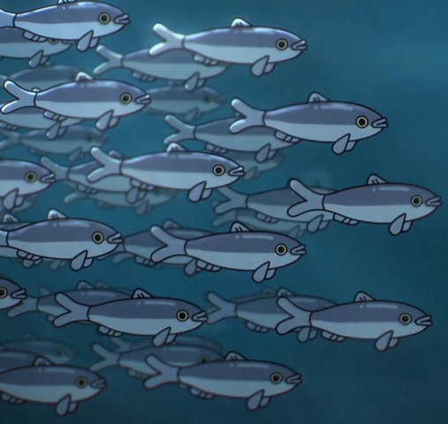 File:Fish.png