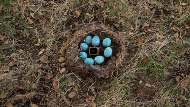 File:Vlcsnap-2012-09-09-19h32m32s190.png