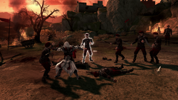PaxR 1.png