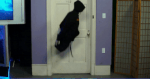 AlejandroGumbo