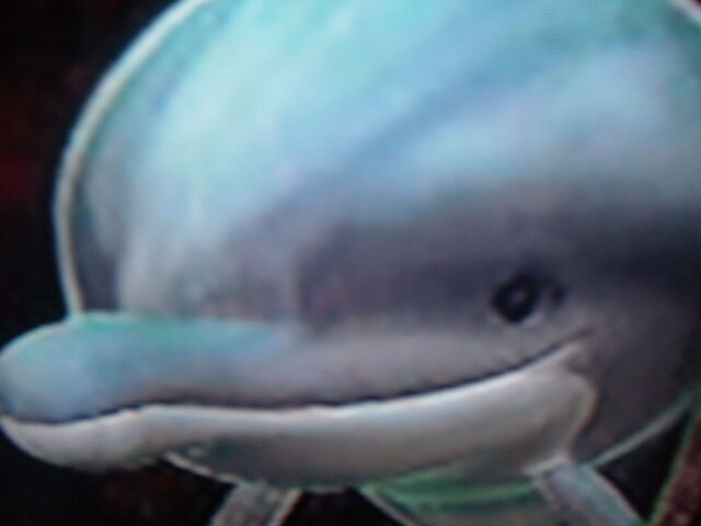 File:Sea Trisket.jpg