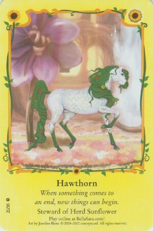 Hawthorn