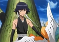 Thumbnail for version as of 11:40, June 5, 2012