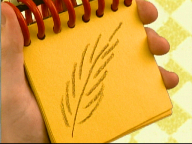 File:Vlcsnap-2013-06-28-17h00m58s121.png