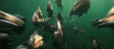 File:Piranha.jpg