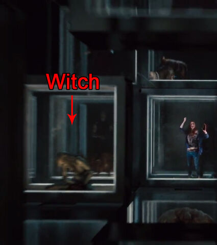 File:Witch l4d.jpg