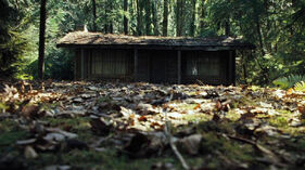 Cabin-in-the-woods-3
