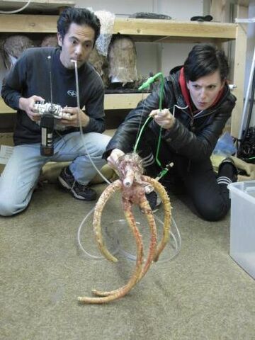 File:Tentaclething.jpg