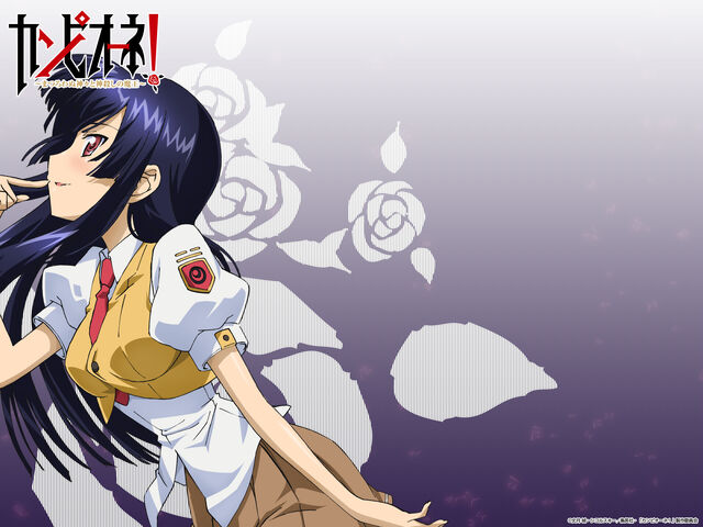 File:Ena Seishuuin Wallpaper.jpg