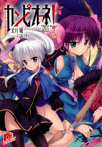 File:Light Novel Volume 12 (Front Cover).png