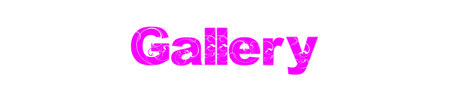File:Gallery.png