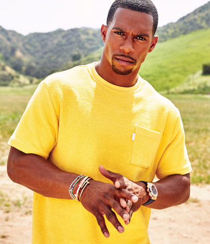 File:VictorCruz.png