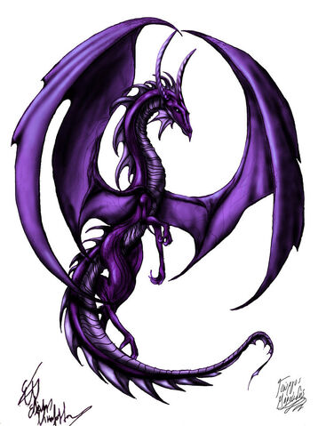 File:Shadowstorm's Dragon.jpg
