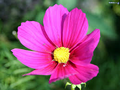 Thumbnail for version as of 01:02, September 15, 2014